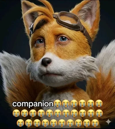 bmditk