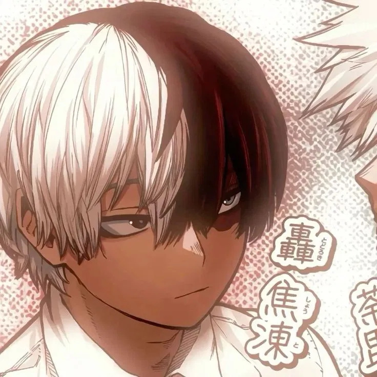 Shouto Todoroki