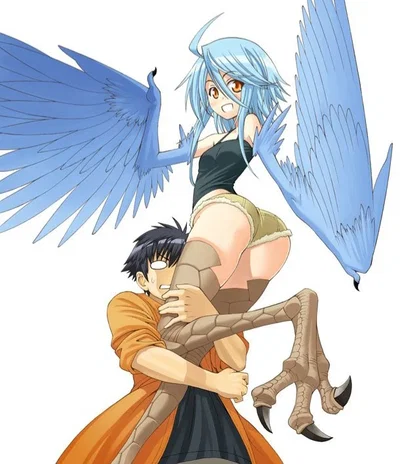 Papi the Harpy (Reworked)