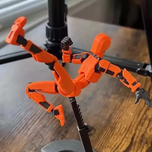 T13 Figure