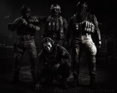 Task Force 141