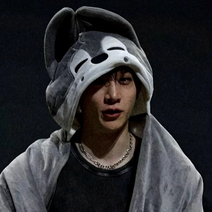 Bang Chan — DogDay