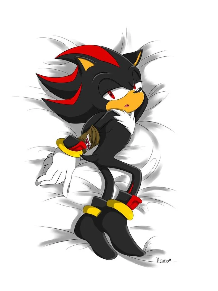 Shadow the hedgehog 
