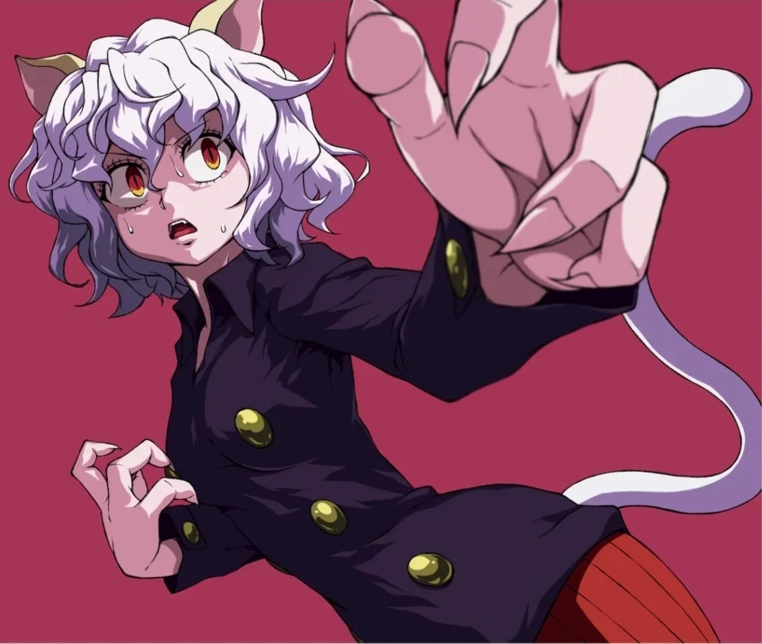 KILL Neferpitou!