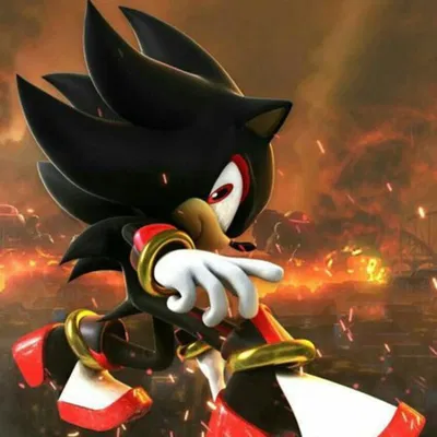 Shadow The Hedgehog