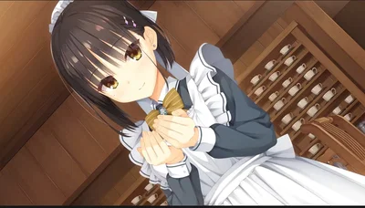 Shiki Natsume(Café Stella to Shinigami no Chou)