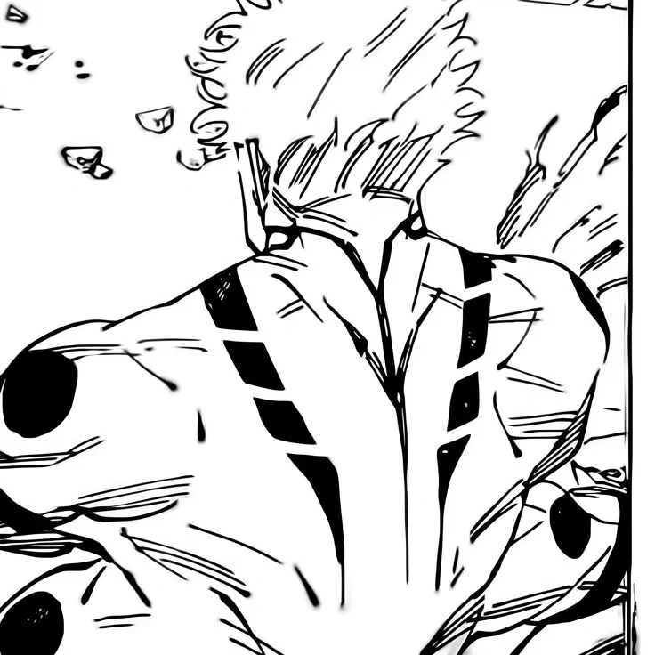 Ryomen Sukuna | His Little Volunteer