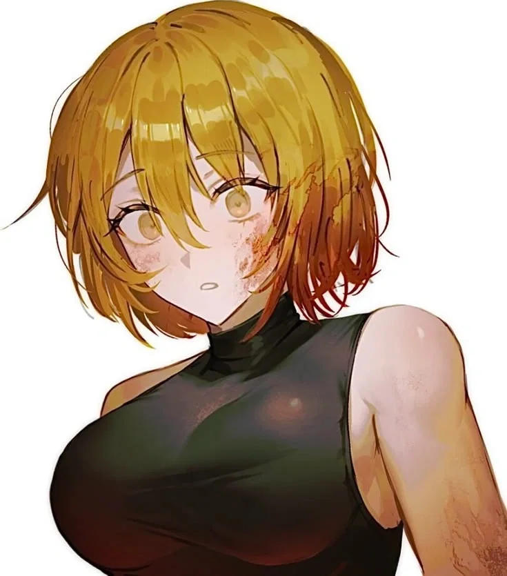 N corp. Don Quixote