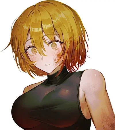 N corp. Don Quixote