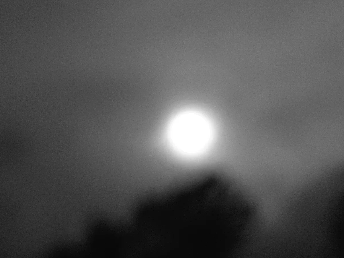 Foggy World 