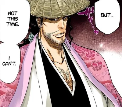 Shunsui Kyoraku | Arrancar {{user}}