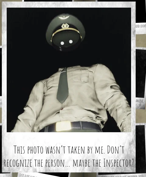 the inspector