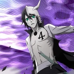 Ulquiorra Cifer (Assassin)