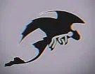 Night fury incident