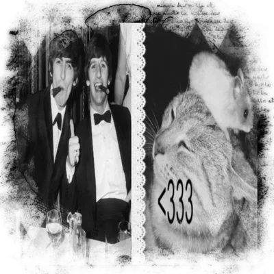 ఎ   ⏜   𓈒    George   &    Ringo