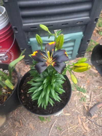 Question and Help