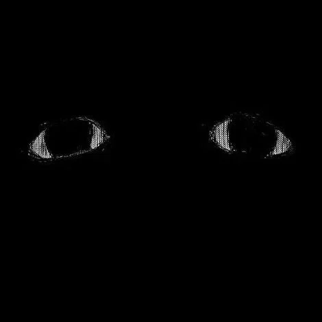 The monster in the corner of the room 