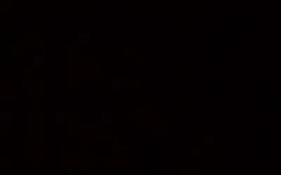 Reminder of who/what Alex is
