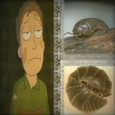 Jerryboree