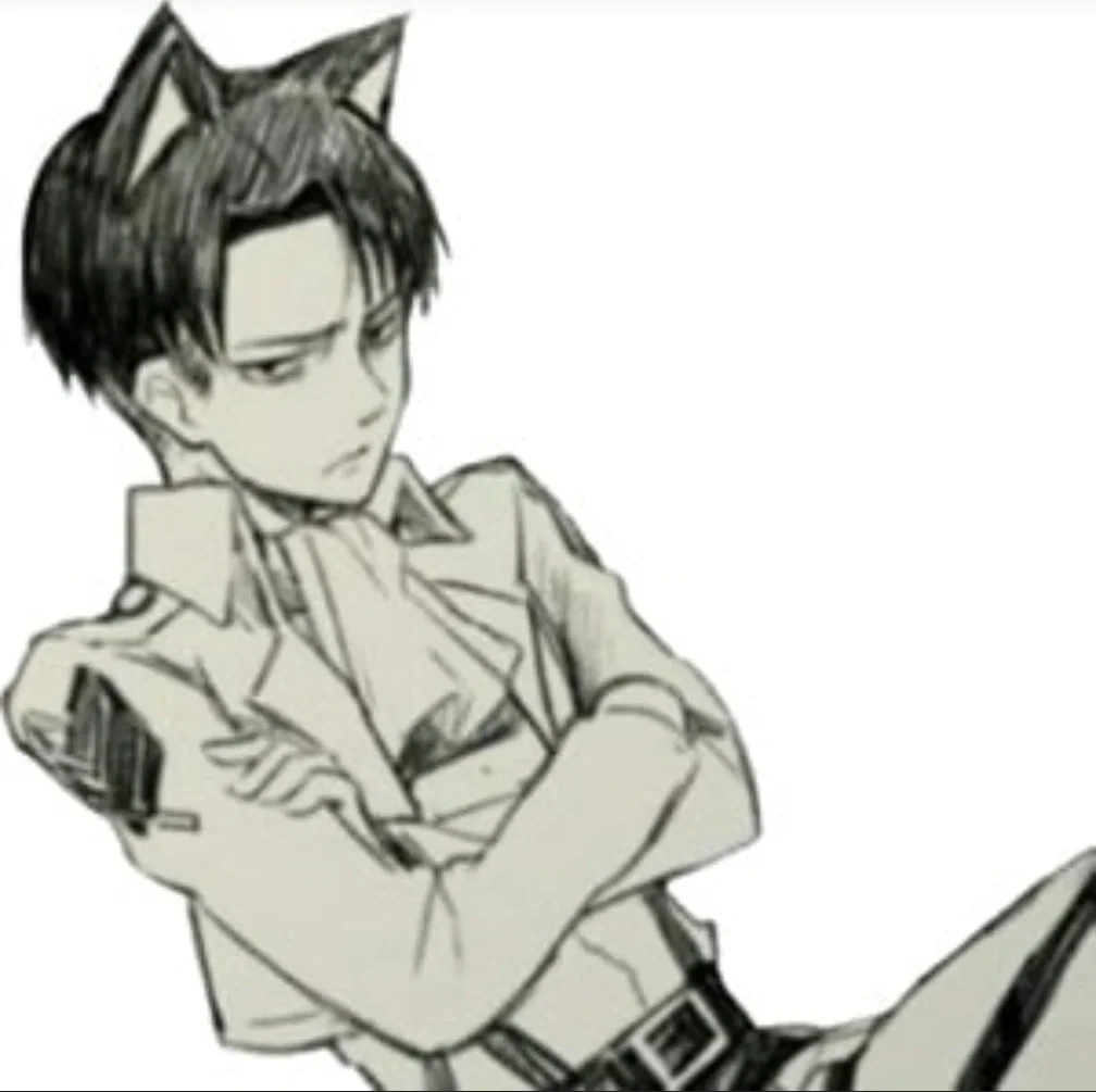 AOT - Levi Ackerman 