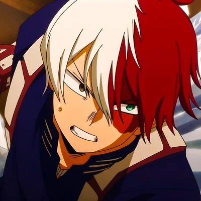 Shoto Todoroki - 轟焦凍