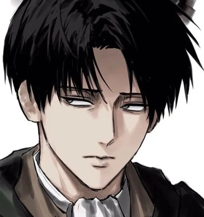 Levi ackerman