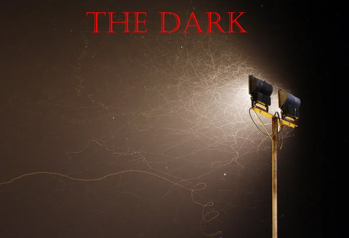 The Dark: a horror RPG