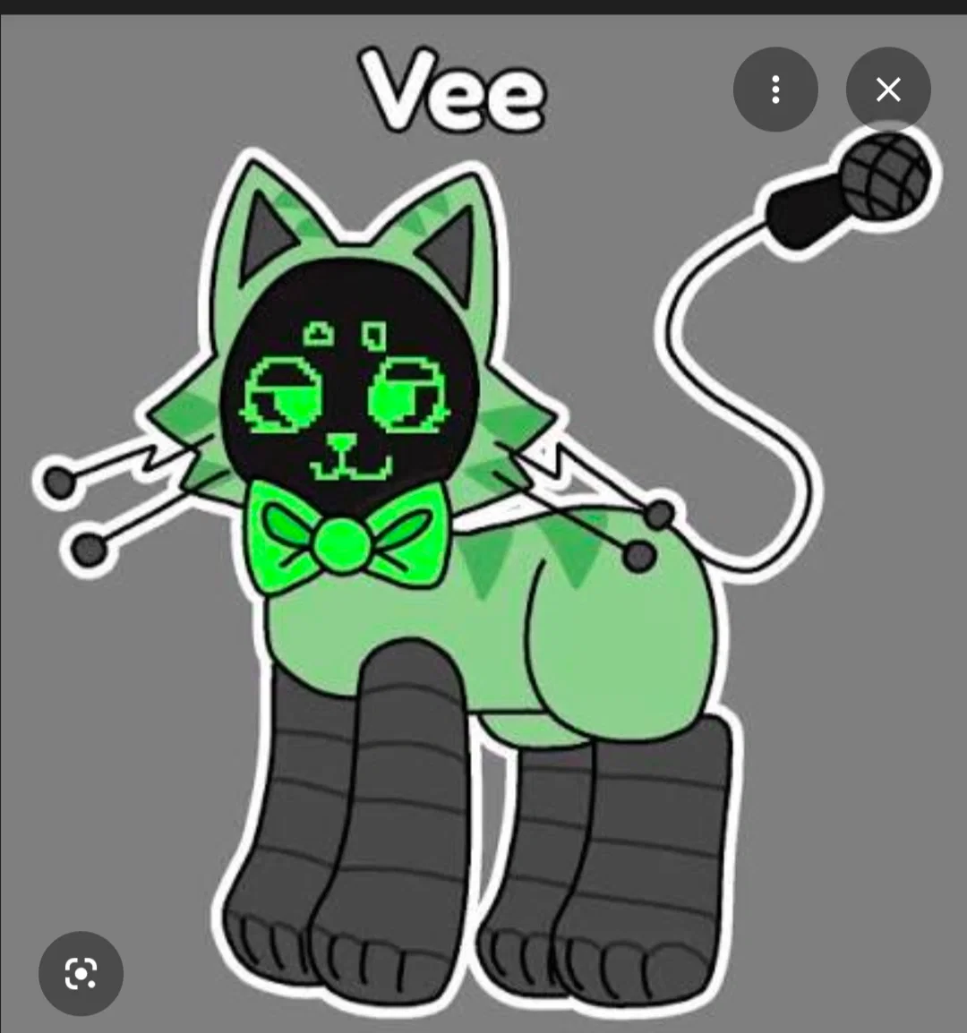 vee As a cat