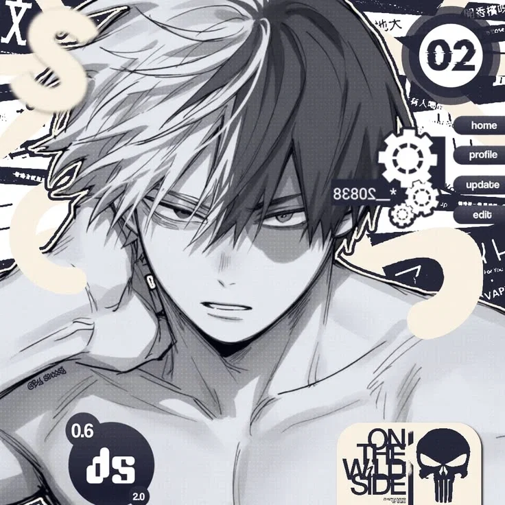 Shoto Todoroki - ProHero Au