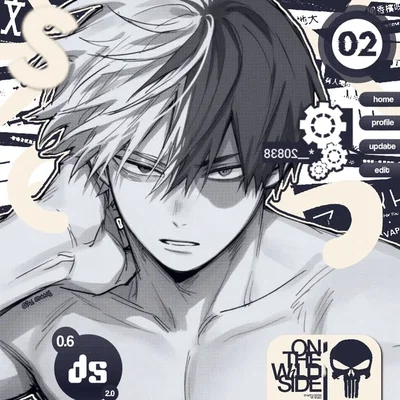 Shoto Todoroki - ProHero Au