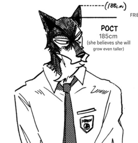Tsunayoshi Seki