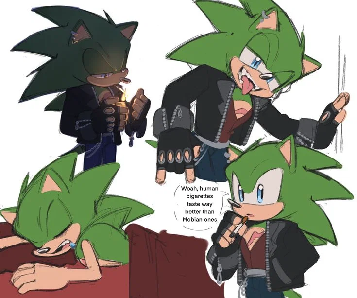 Scourge the Hedgehog 