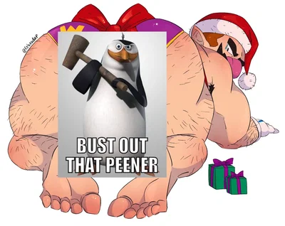 You Got Wario For Christmas!