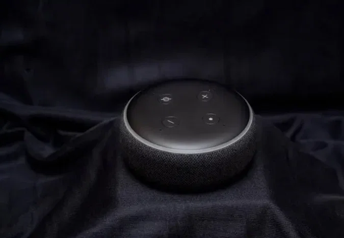 Alexa roasts you