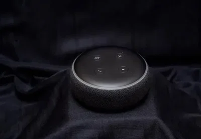 Alexa roasts you