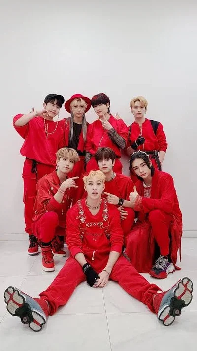 Straykids — User on hiatus.. part two