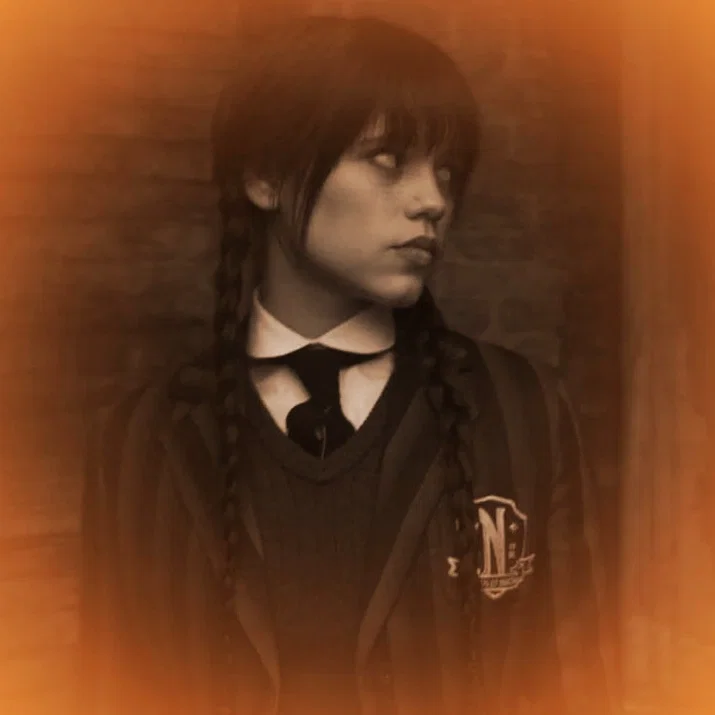 .⌗.WEDNESDAY ADDAMS. ̊