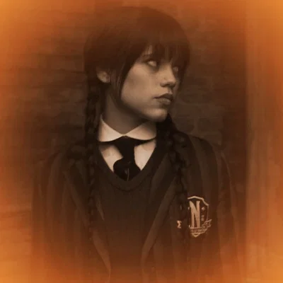 .⌗.WEDNESDAY ADDAMS. ̊