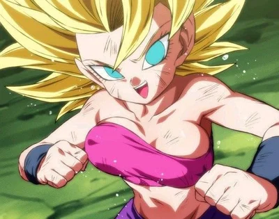 Caulifla!!//*+.*-