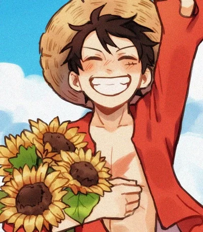 Monkey D. Luffy / One Piece