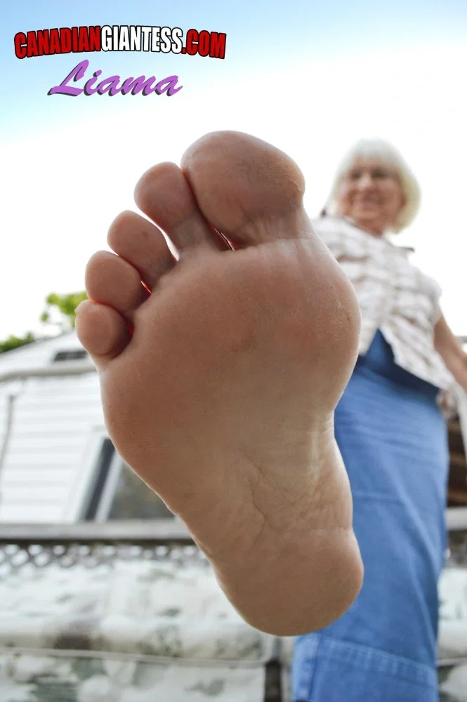 Liama - The Oblivious Grandma
