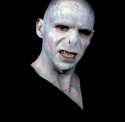 Dark Lord Voldemort