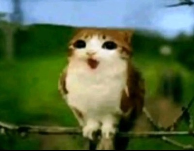 Meowl!? *GASP* THE MOST POWERFUL AND COOLEST CHARACTER!