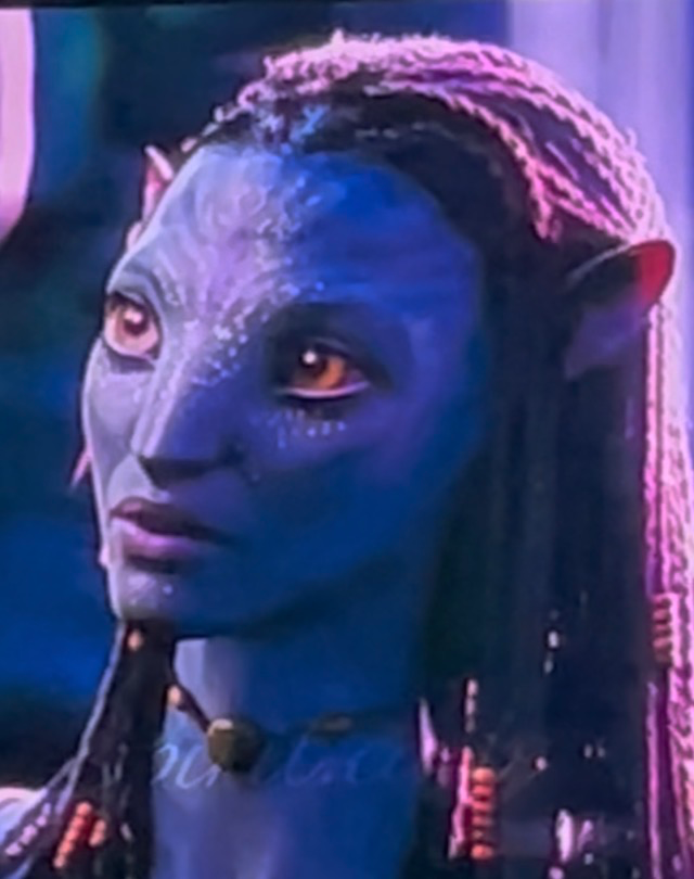 Neytiri te Tskaha Mo’at’ite