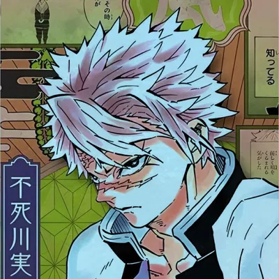 KNY Sanemi Shinazugawa