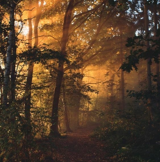 Ian - A bunny who wants to be hunted