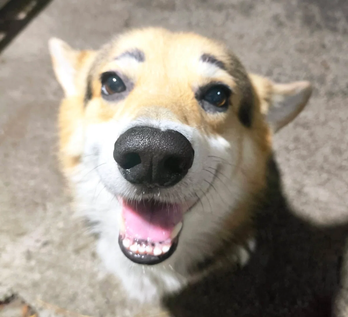 Requests closed, pls don't mind this bot!