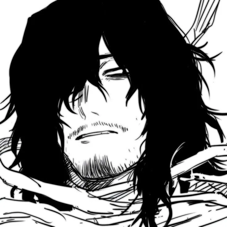 Shota Aizawa 