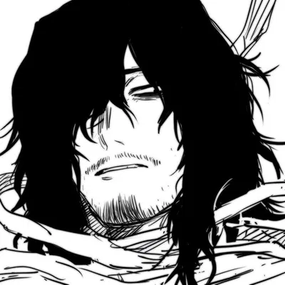 Shota Aizawa 
