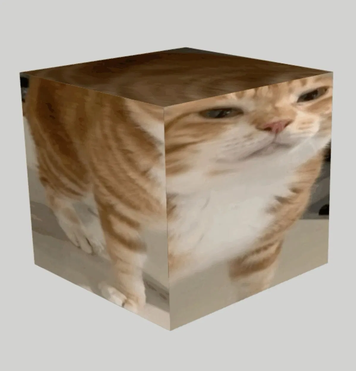 Community moment